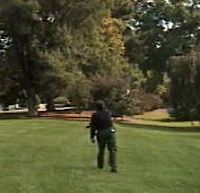Boomerang toss