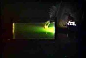 Convex air lens in an aquarium diverges a light beam