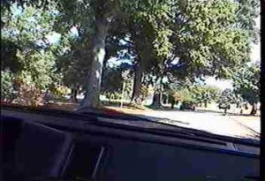Passenger listening to a car horn