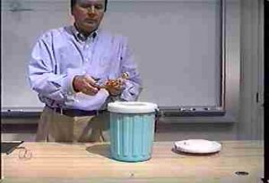 Freezing flowers in liquid nitrogen