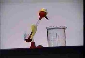 Glass drinking duck continually dips head in water